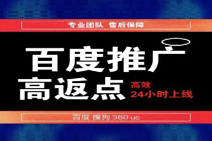 SEM代运营成功案例：打造行业领先品牌